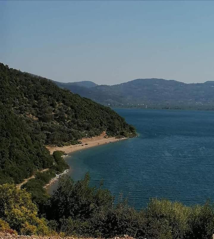 The Lake House" -Trichonida Lake Marathias  Экстерьер фото